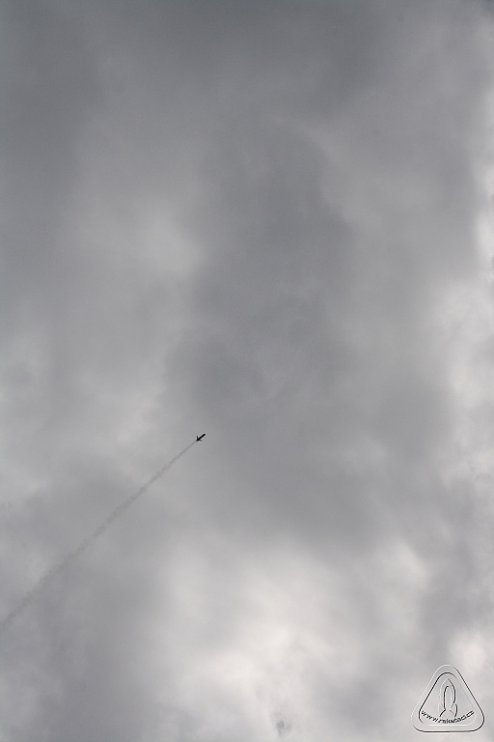 2013 Svojek Mirek Topinka